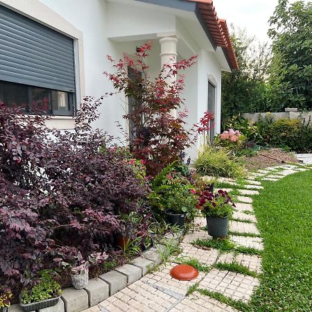 فيلا Carvideفي Beautiful Little Country House المظهر الخارجي الصورة
