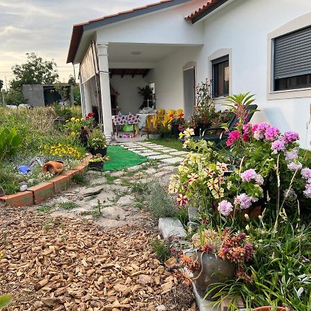 فيلا Carvideفي Beautiful Little Country House المظهر الخارجي الصورة