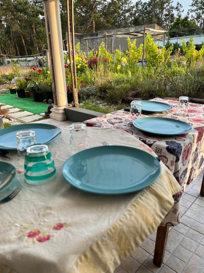 فيلا Carvideفي Beautiful Little Country House المظهر الخارجي الصورة