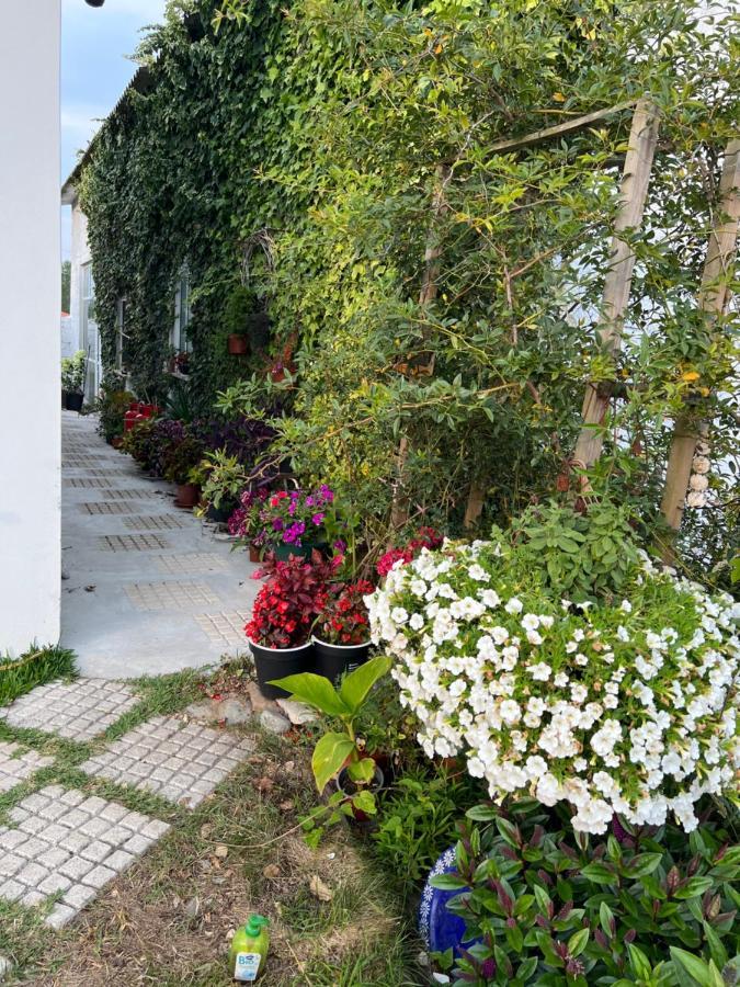 فيلا Carvideفي Beautiful Little Country House المظهر الخارجي الصورة