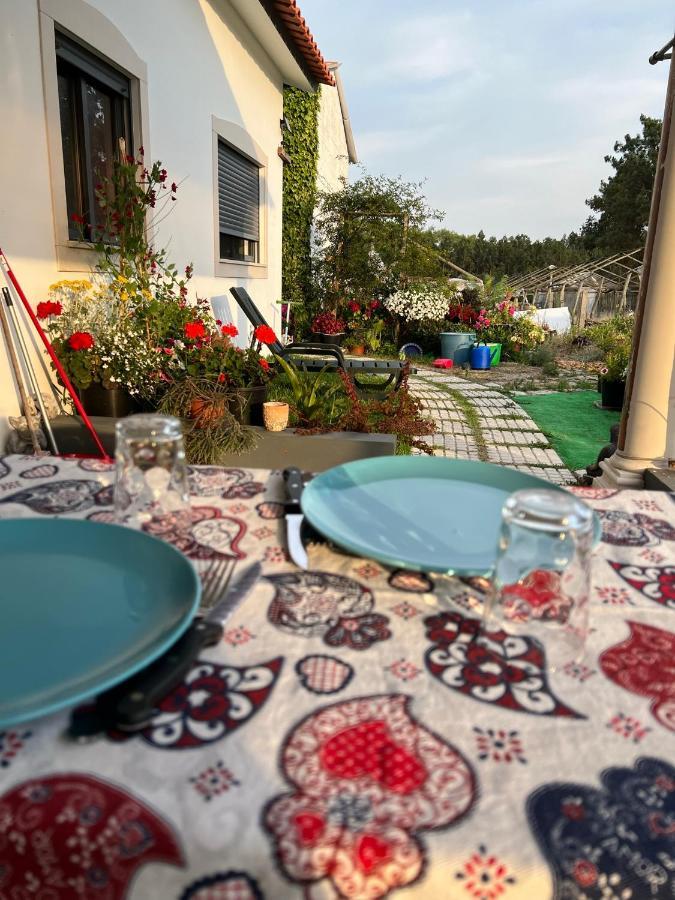 فيلا Carvideفي Beautiful Little Country House المظهر الخارجي الصورة