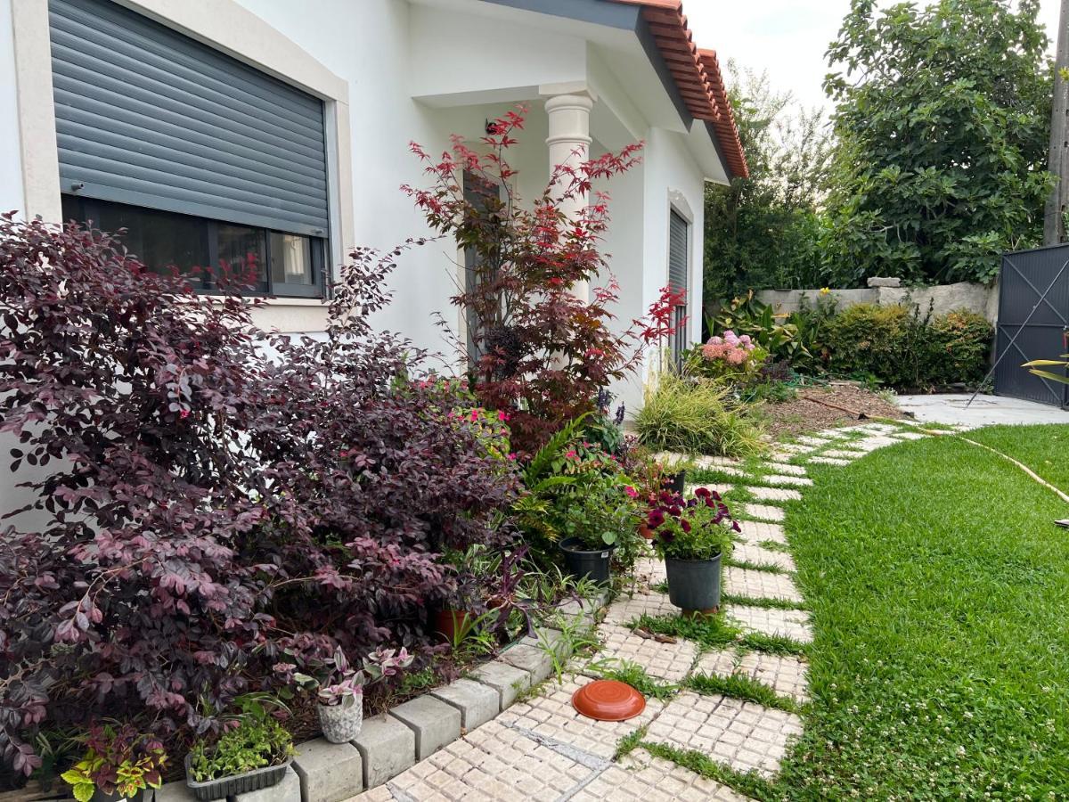 فيلا Carvideفي Beautiful Little Country House المظهر الخارجي الصورة