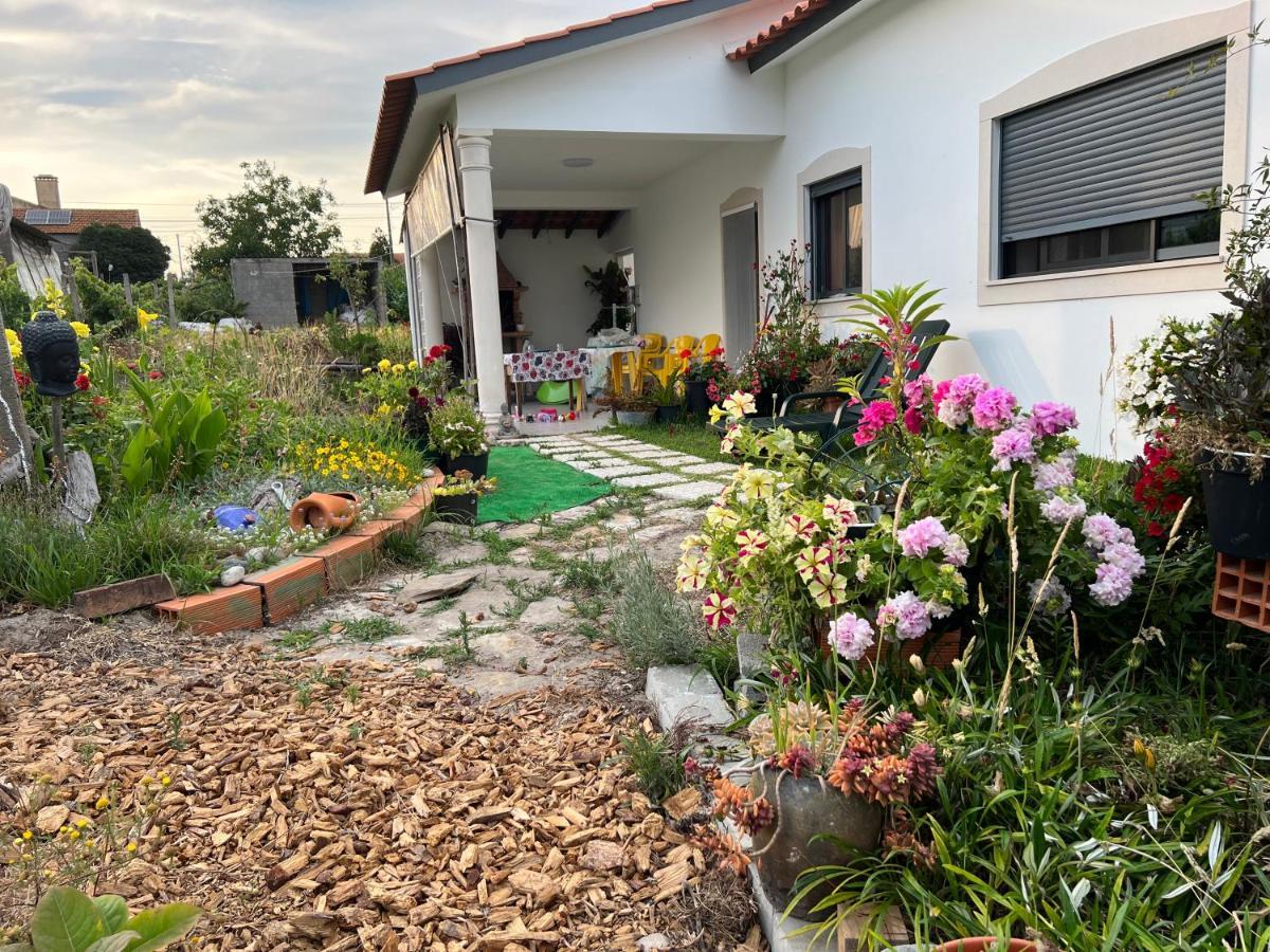 فيلا Carvideفي Beautiful Little Country House المظهر الخارجي الصورة