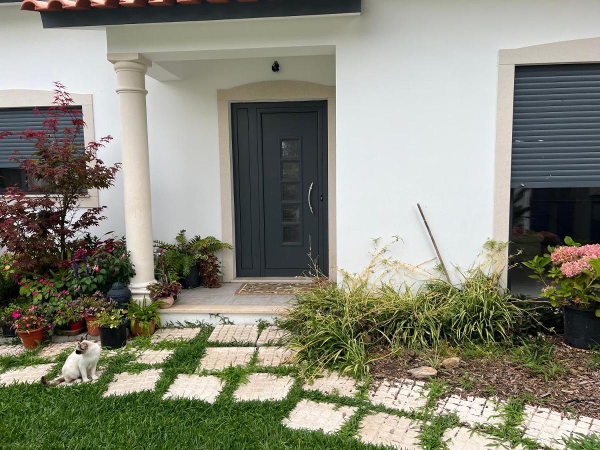 فيلا Carvideفي Beautiful Little Country House المظهر الخارجي الصورة